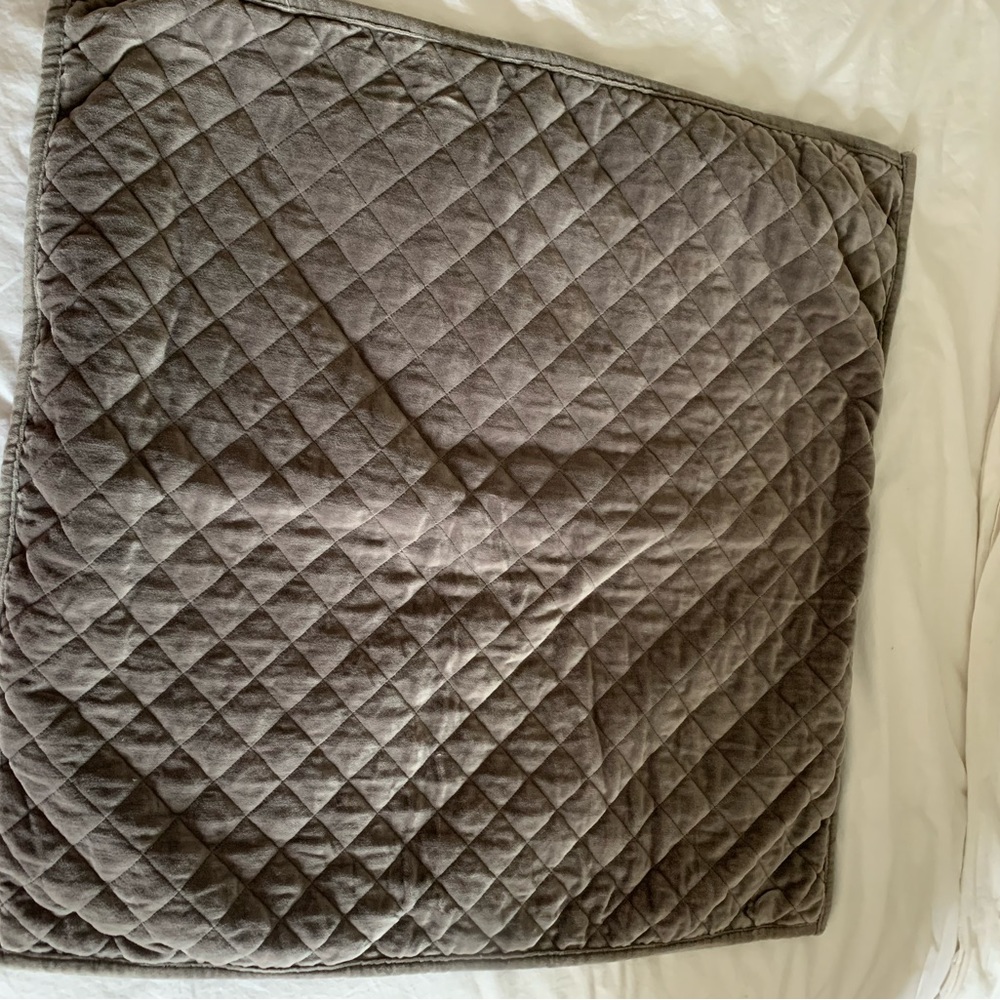 RH gray velvet euro sham